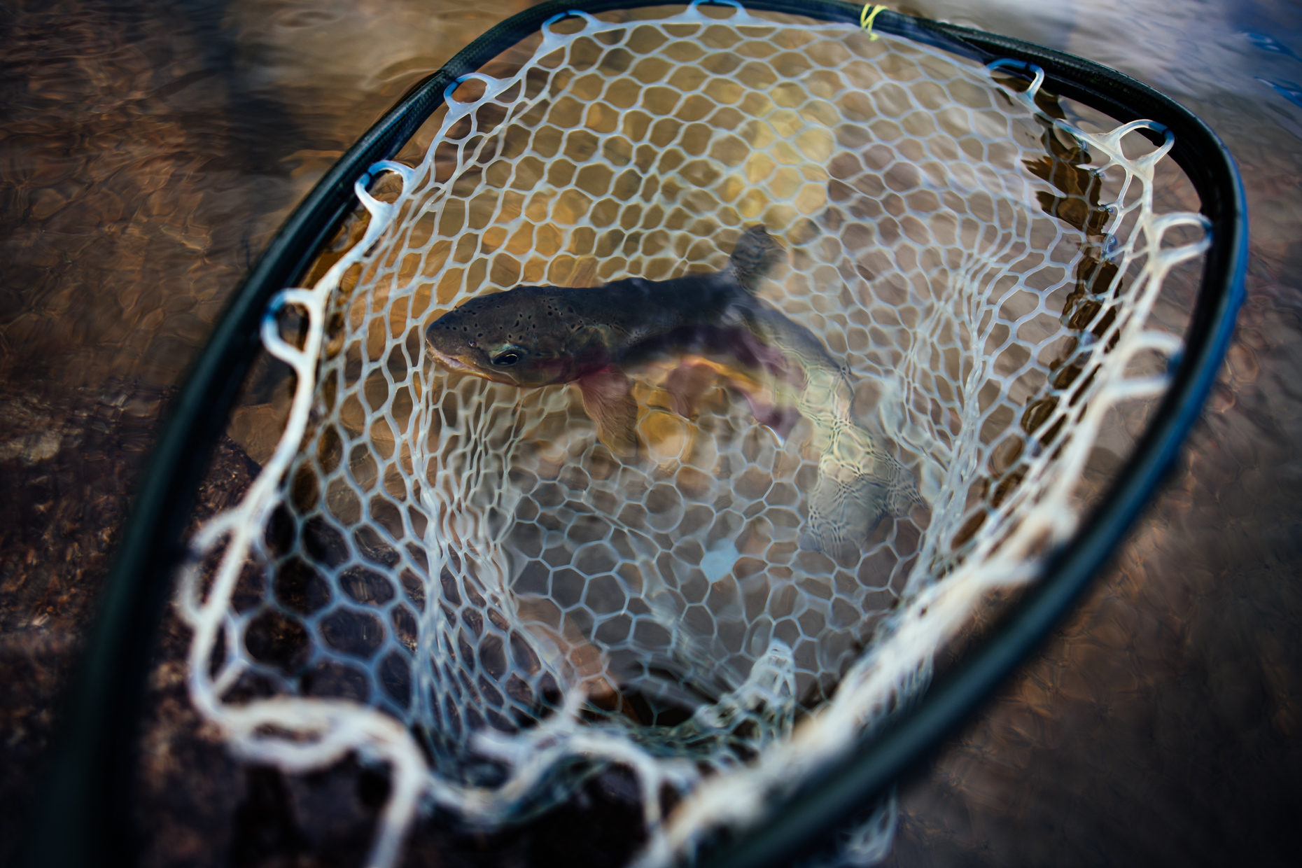 JeremiahWattBackcountryFlyfishing-114