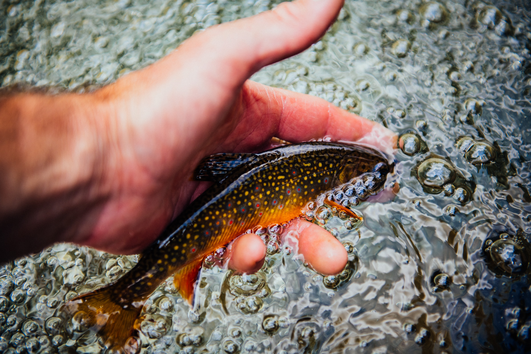 JeremiahWattBackcountryFlyfishing-121