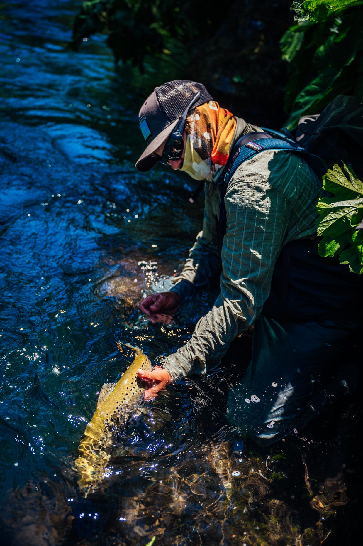 JeremiahWattPatagoniaFlyfishing-119